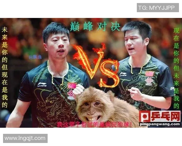 成都排球队与北京排球队对决的精彩分析与战术探讨 成都排球队与北京排球队对决的精彩分析与战术探讨