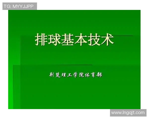 南京排球队技术分析与发展策略探讨聚焦排球运动的未来趋势与挑战